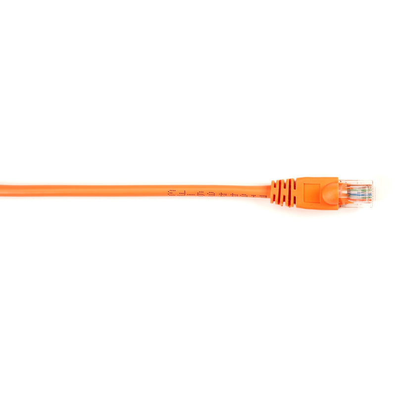 Orange Cat6 network patch cable with snagless boot and RJ-45 connector closeup view