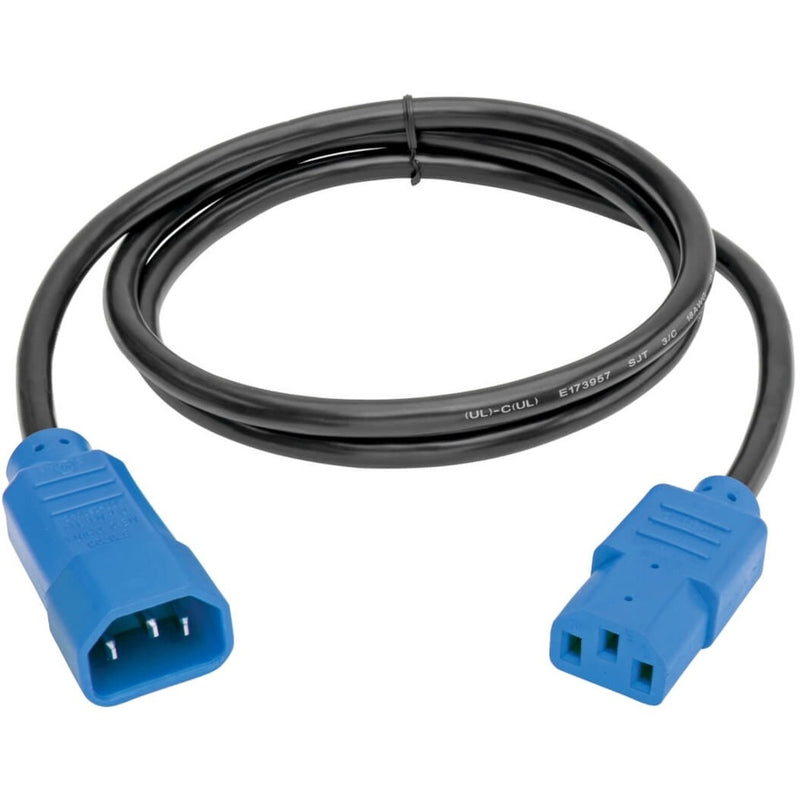 Full length view of 4-foot black power cord with blue connectors showing cable flexibility