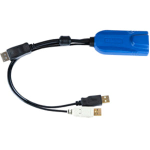 Raritan D2CIM-DVUSB-DVI KVM cable with blue interface module and dual USB connectors