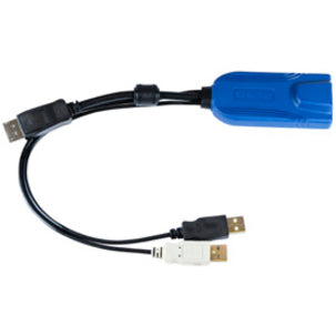 Raritan DisplayPort KVM cable with dual USB connections and blue converter module