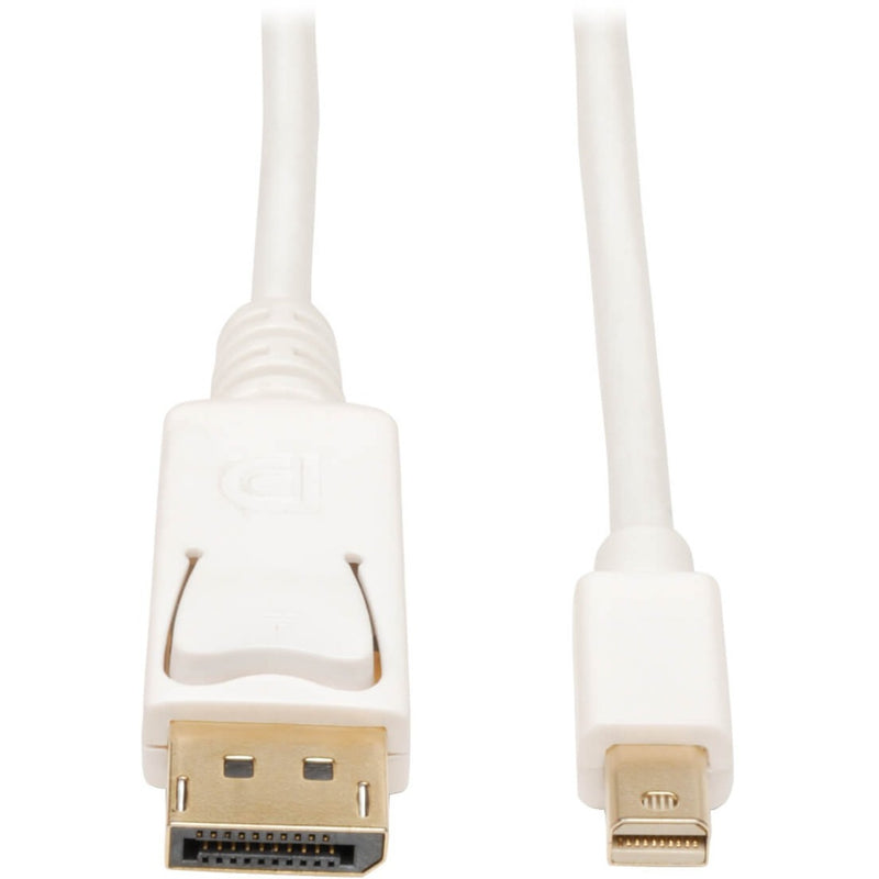 Close-up view of white Mini DisplayPort to DisplayPort cable connectors showing gold-plated terminals and quality construction