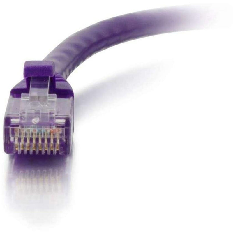 Detailed view of RJ-45 connector pins and contact array on purple Cat6 ethernet cable