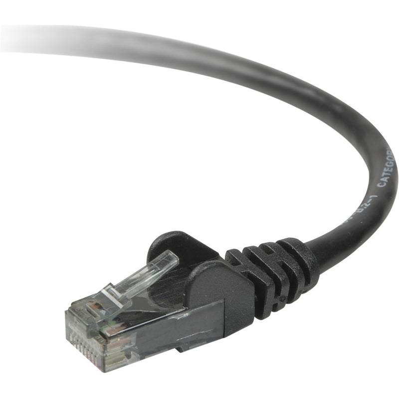 Close-up view of Belkin CAT6 cable's gold-plated RJ-45 connector with strain relief and transparent housing