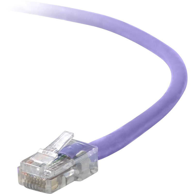 Close-up view of Belkin CAT6 ethernet cable's transparent RJ45 connector with gold-plated pins and purple cable jacket