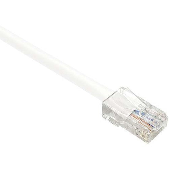 Close-up view of white Cat.6 network cable with transparent RJ-45 connector showing internal wiring