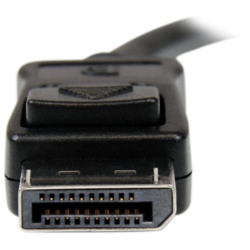 Macro shot of DisplayPort connector pins showing 20-pin layout