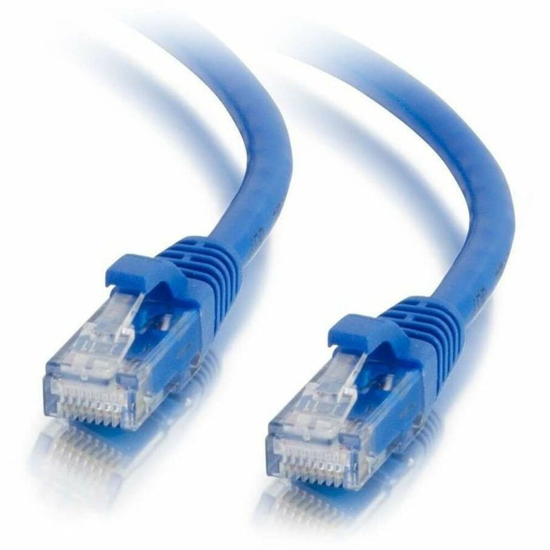 Close-up of blue Cat6a ethernet cable ends showing gold-plated RJ-45 connectors with transparent housing