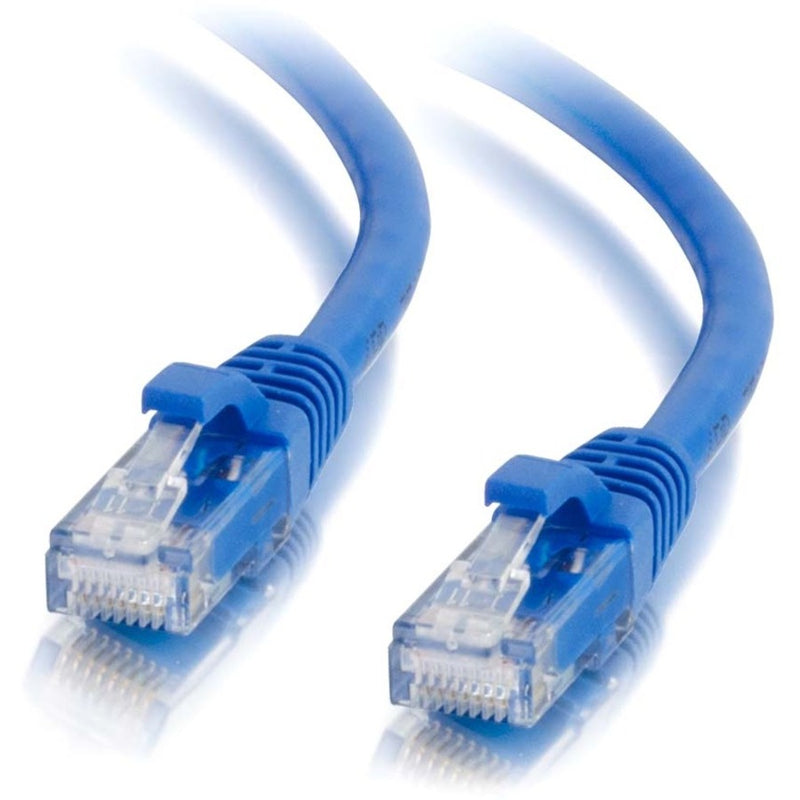 Close-up view of blue Cat6a ethernet cable ends with transparent RJ-45 connectors showing gold-plated contacts