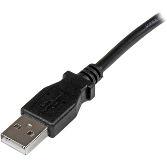 Detailed view of USB-A connector showing build quality