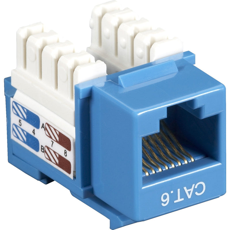 Blue CAT6 keystone jack with gold-plated contacts and 110-block termination showing white wire punch-down slots and RJ-45 port