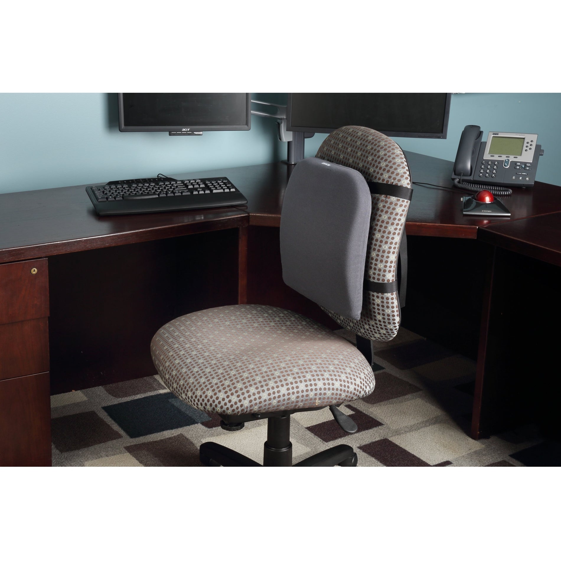 Kensington L82025F Memory Foam Back Rest Sensibile alla temperatura Sensibile alla pressione Copertura lavabile Cinghia regolabile.