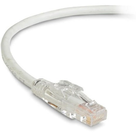 Close-up view of white Cat6 cable's gold-plated RJ-45 connector with transparent housing