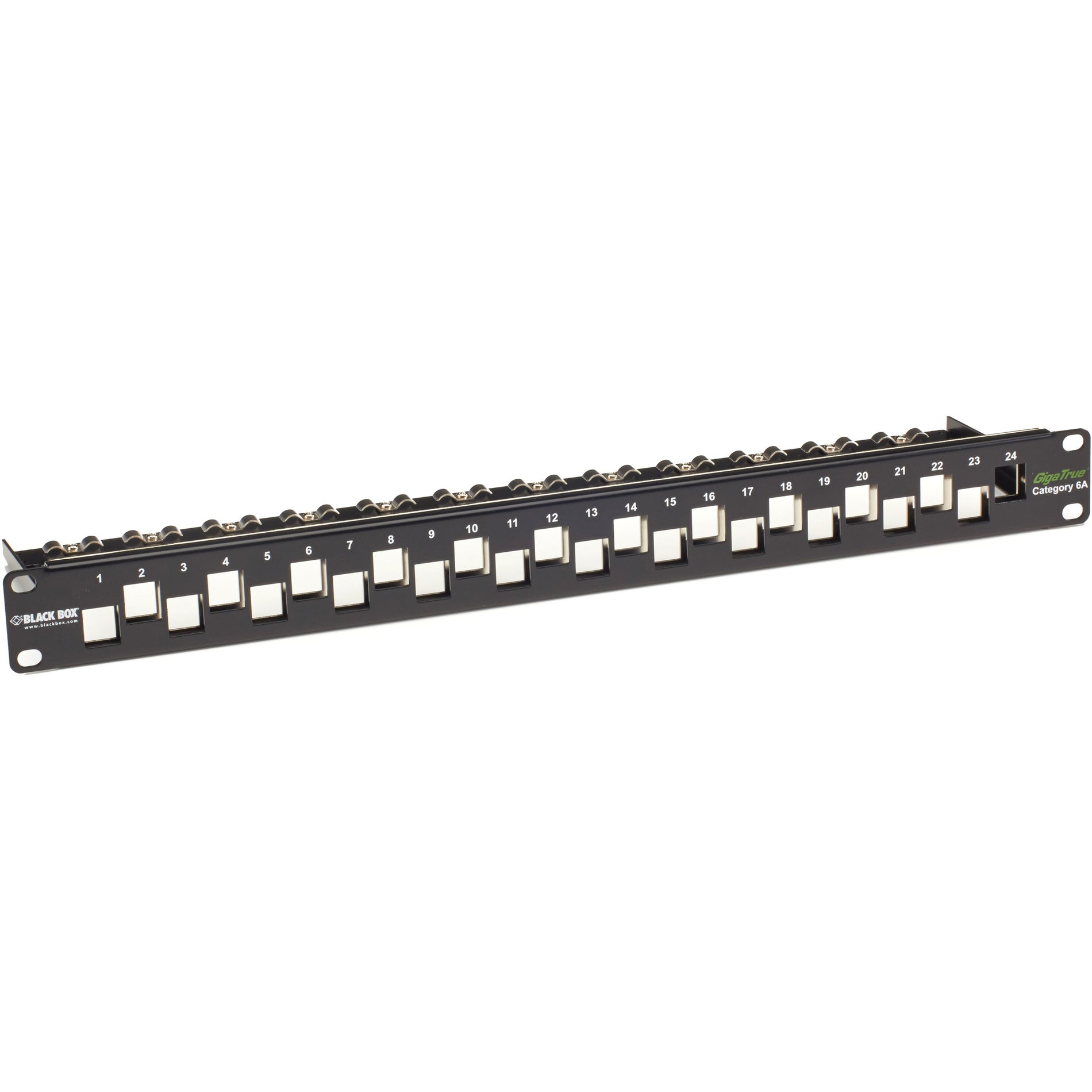 Black Box C6AMP70-24 CAT6A Staggered Multimedia Patch Panel - 1U, 24-Port