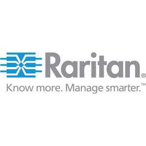 Raritan company logo featuring blue interconnected lines and grey text with tagline Know more. Manage smarter.