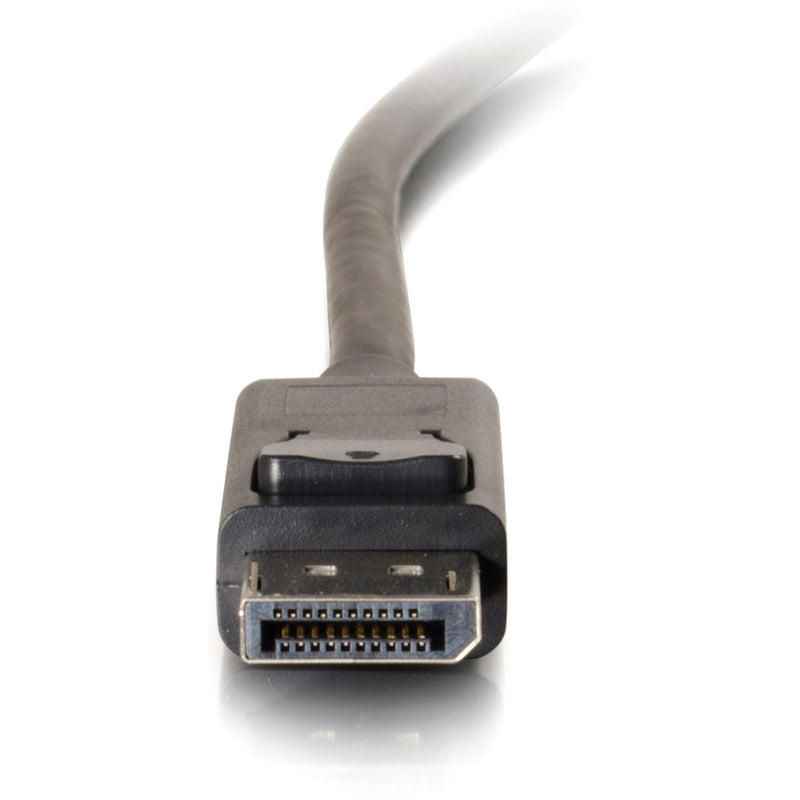 Detailed view of DisplayPort connector showing 20-pin interface and locking mechanism