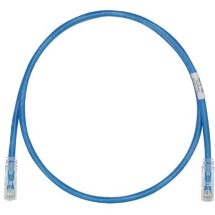 Panduit Cat6 UTP patch cable in blue with clear-booted RJ-45 connectors, coiled in a circular shape