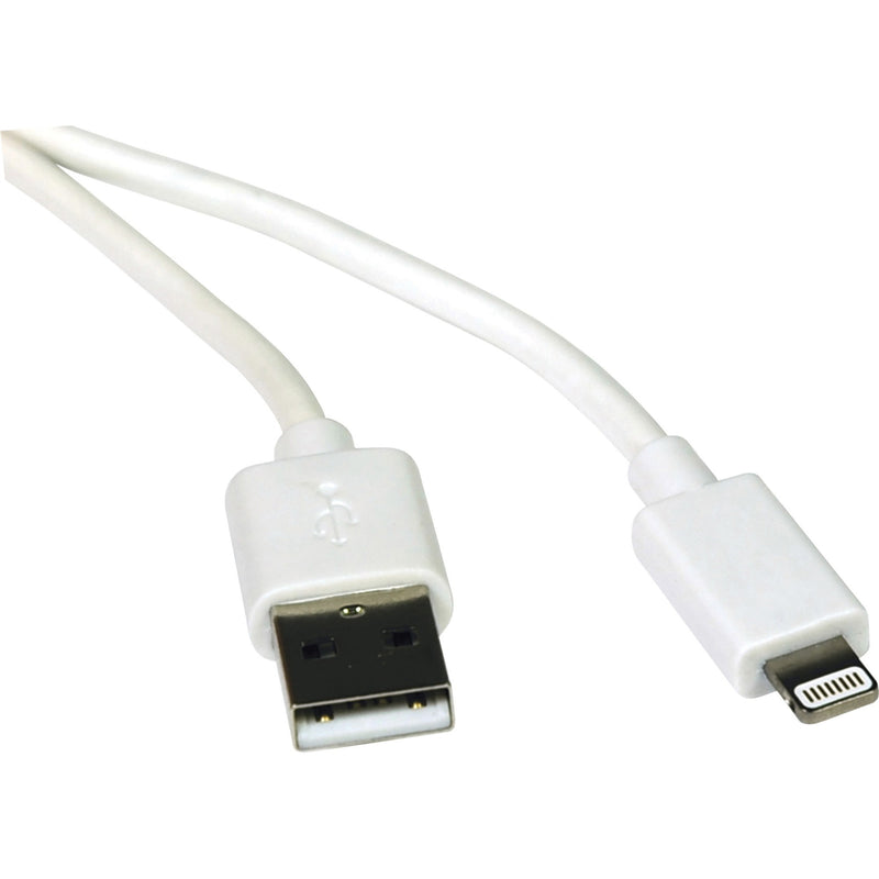 Close-up view of Tripp Lite white USB-A and Lightning connectors