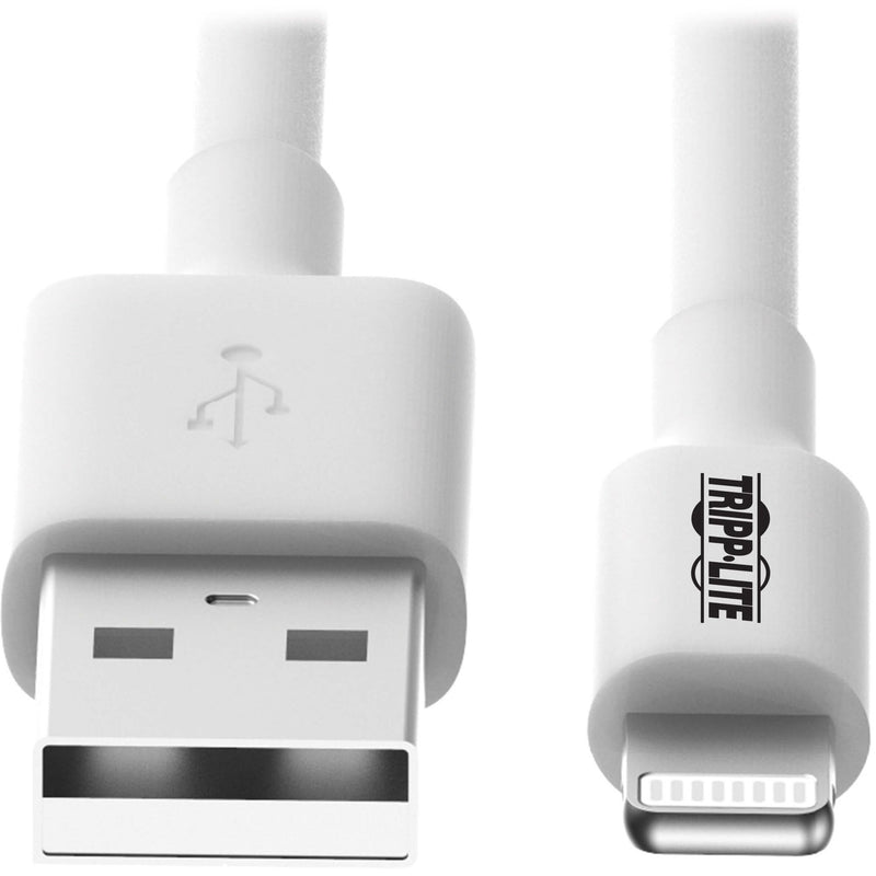 Side-by-side comparison of USB-A and Lightning connectors