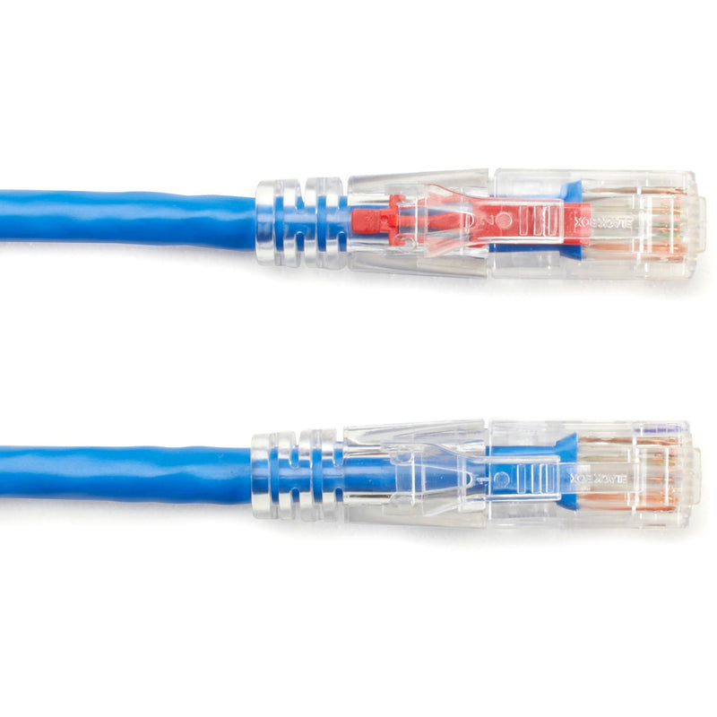 Close-up view of GigaBase 3 Cat5e cable ends showing gold-plated RJ-45 connectors with transparent housing and blue cable jacket