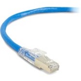 Blue CAT6A patch cable with clear RJ-45 connector showing gold-plated contacts