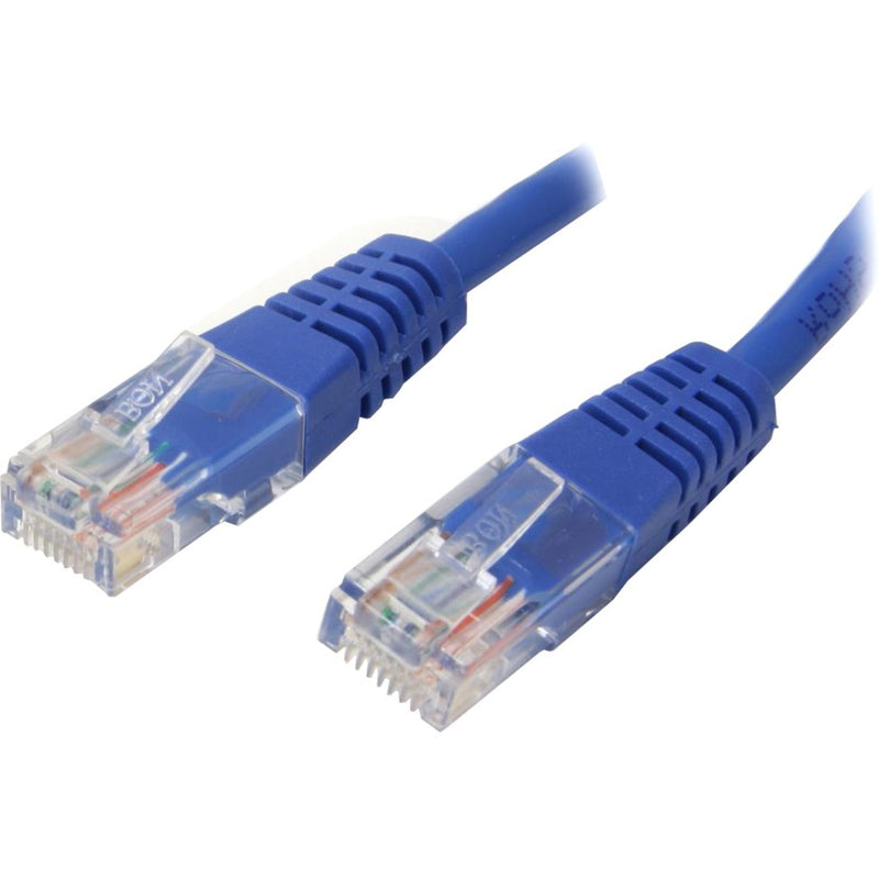 Close-up view of blue Cat5e cable with gold-plated RJ45 connectors showing strain relief and internal wiring