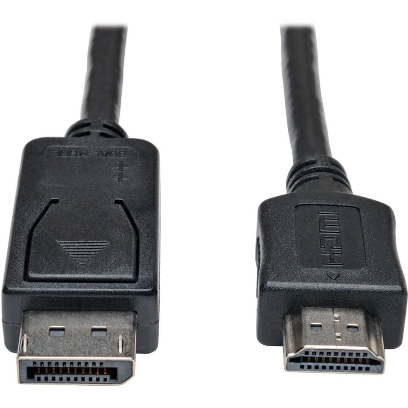 Close-up view of DisplayPort and HDMI male connectors on Tripp Lite P582-010 cable showing detailed connector design