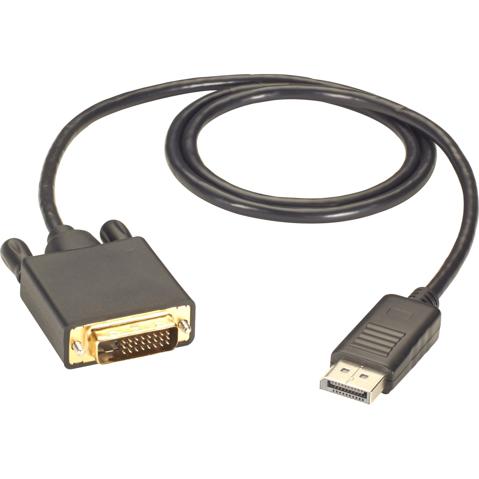 Black Box DisplayPort to DVI cable showing DisplayPort connector on one end and DVI connector on the other with gold-plated contacts-alternate-image1