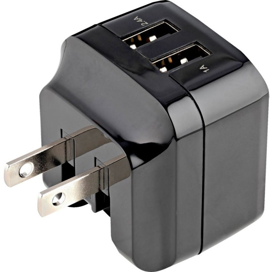 StarTech.com USB2PACBK Dual Port USB Wall Charger - High Power (17 Watt / 3.4 Amp) Travel Charger (International)