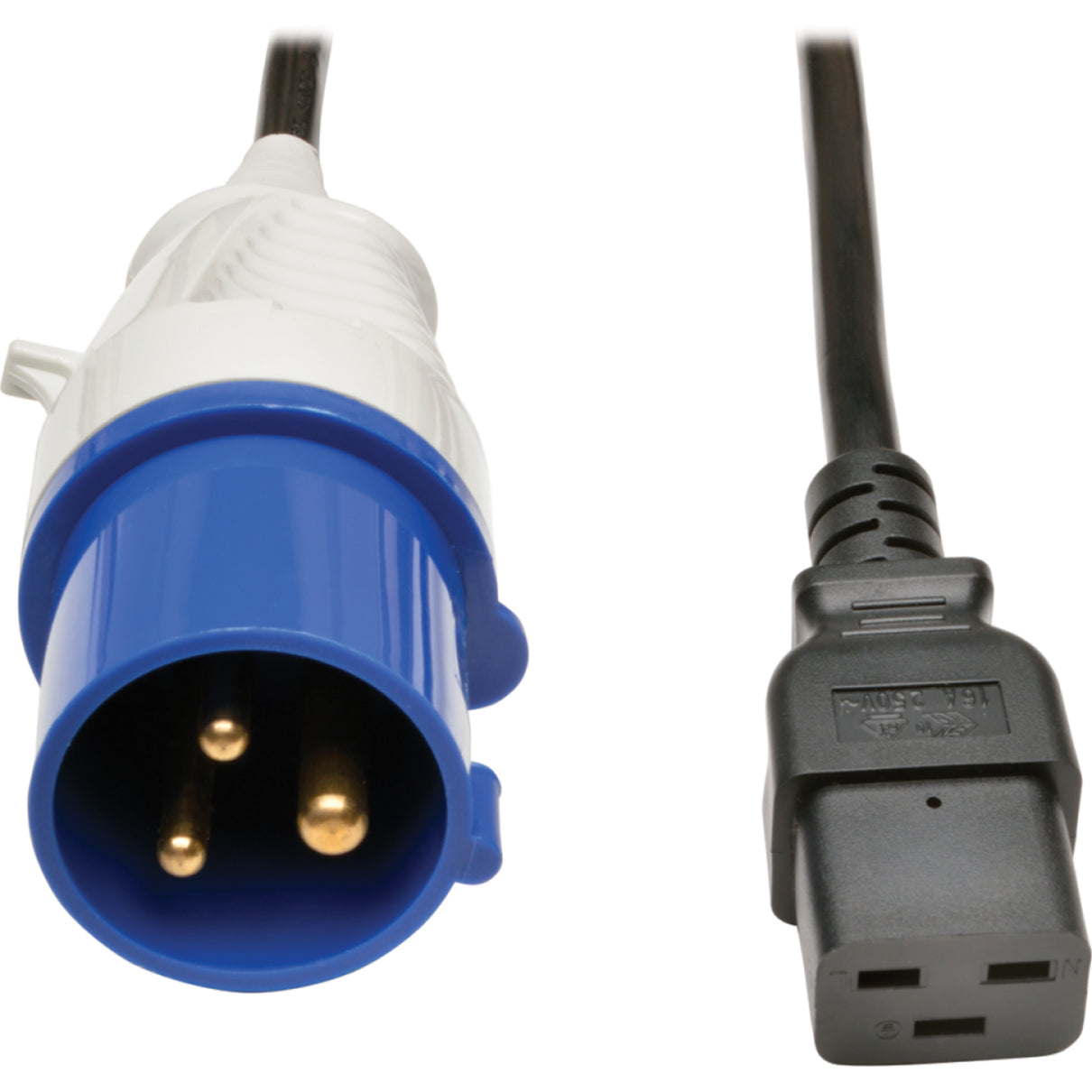 Close-up of PDU's IEC 60309 blue power connector and C19 outlet-alternate-image5