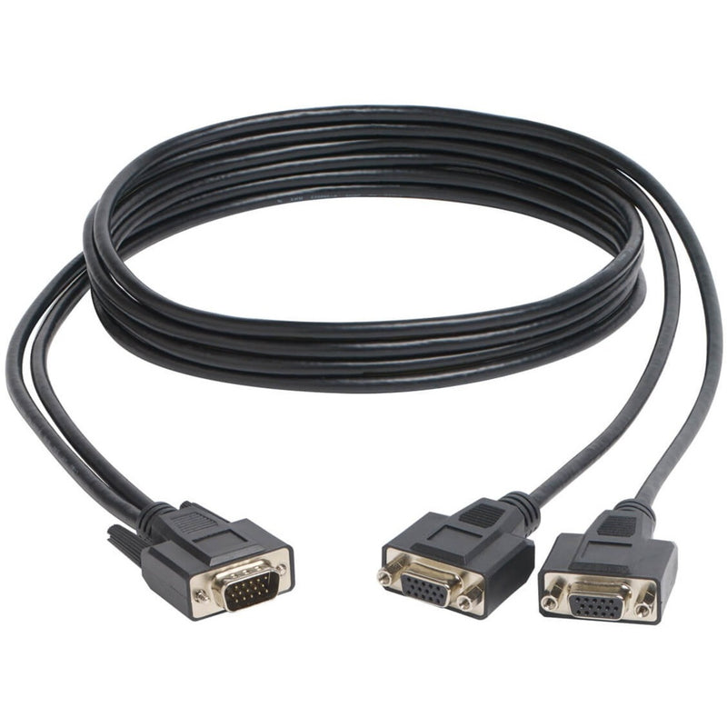 Tripp Lite VGA Y-splitter cable with one male connector and two female connectors, showing coiled black cable