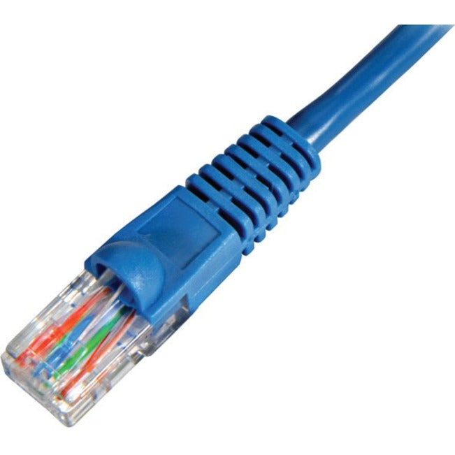 Close-up view of blue Cat5e ethernet cable RJ-45 connector showing gold-plated pins and strain relief boot