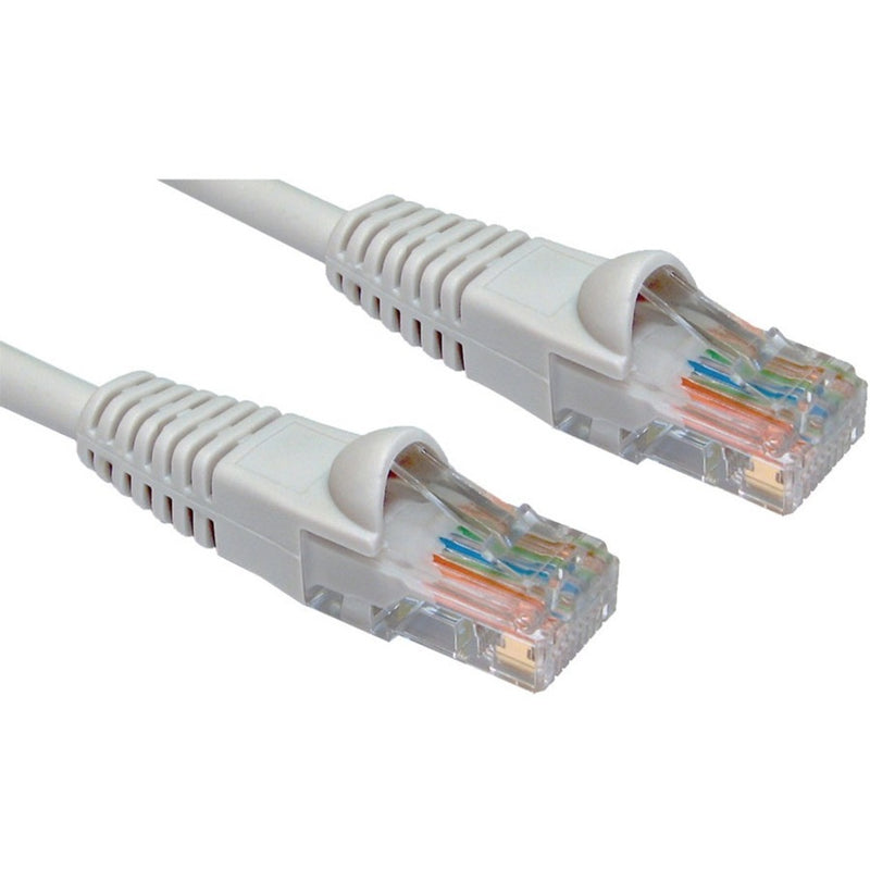 Close-up view of W Box Cat5e patch cable showing gold-plated RJ-45 connectors with clear housing and gray strain relief boots