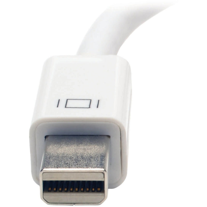 Detailed view of the Mini DisplayPort male connector with pin configuration