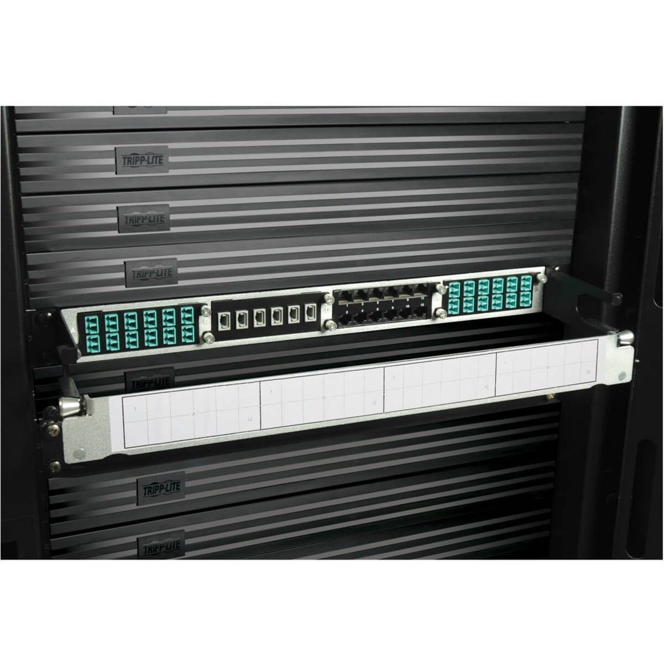 Tripp Lite N484-12LC 10GbE Pass-Through Cassette - (x12) LC Duplex, Network Patch Panel