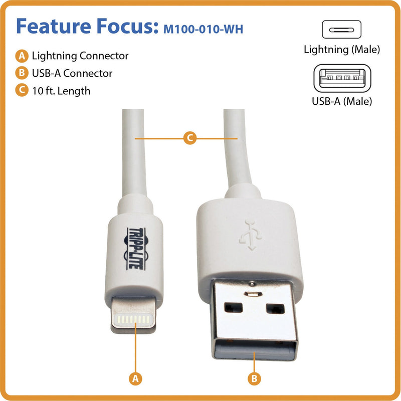 Technical diagram showing labeled features of the Lightning cable