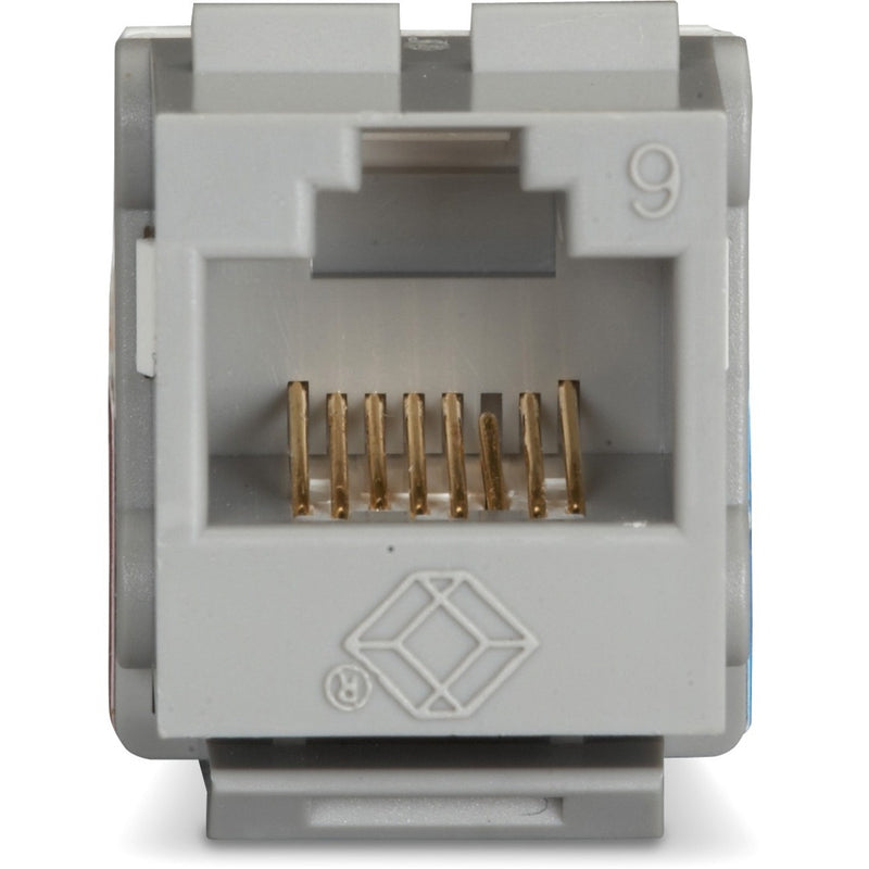 Close-up view of GigaTrue2 CAT6 keystone jack showing gold-plated contacts and white housing with manufacturer logo