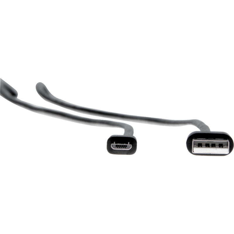 High-contrast image of USB and Micro-USB connectors against white background