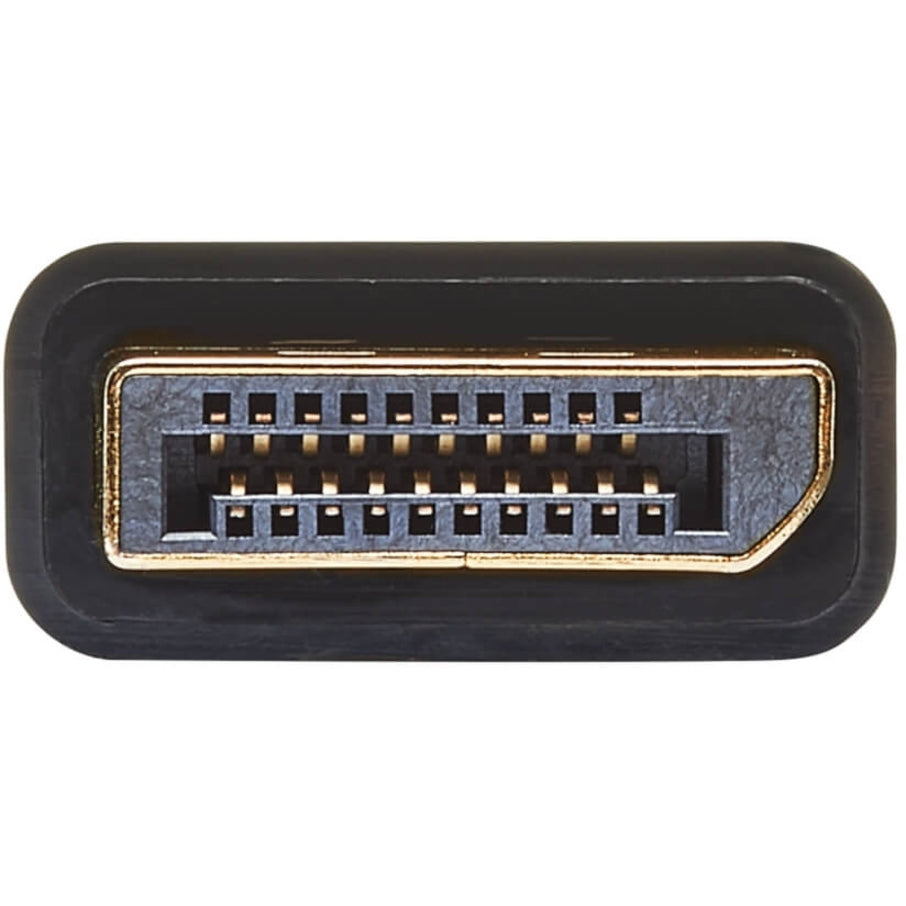 Detailed view of DisplayPort connector showing gold-plated pins and connector structure-alternate-image4