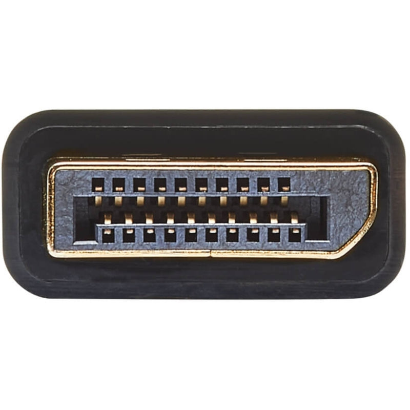 Detailed view of DisplayPort connector showing gold-plated pins and connector structure