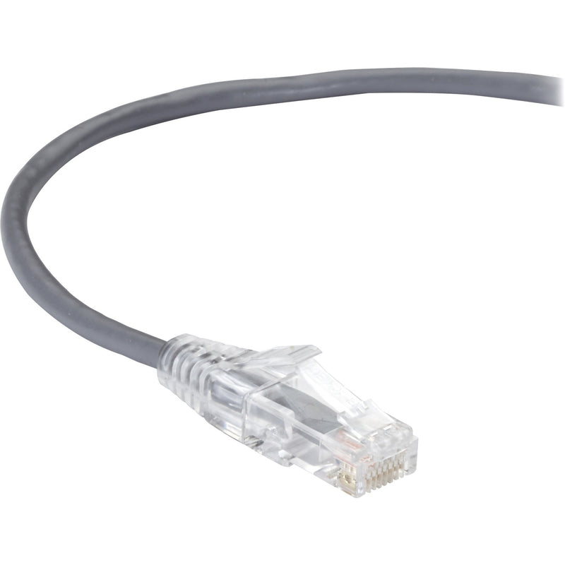 Close-up view of slim gray Cat6 network cable with transparent RJ-45 connector showing gold-plated contacts