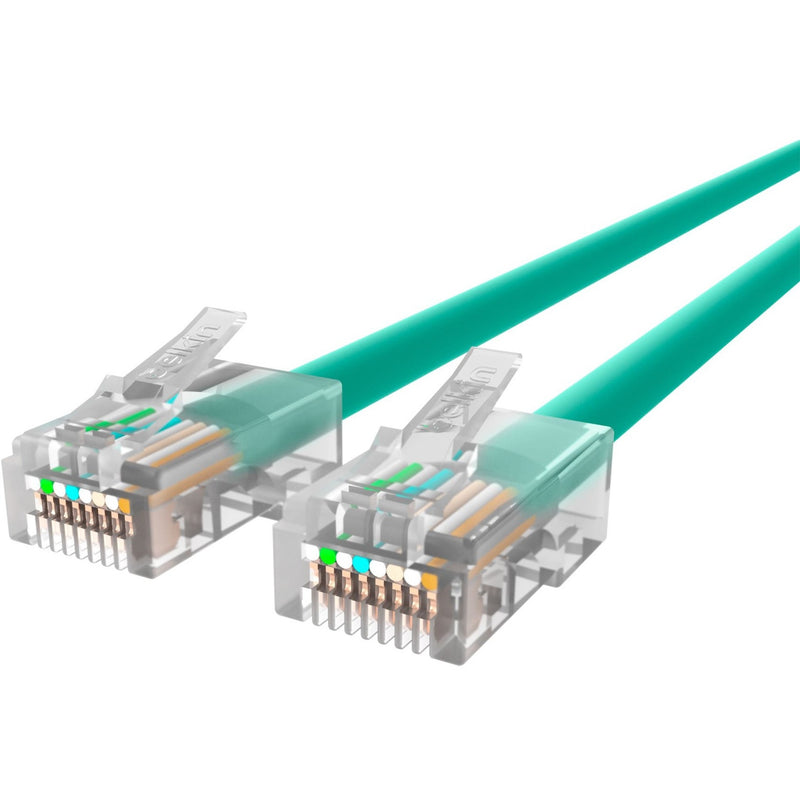 Close-up view of Belkin CAT6 ethernet cable's gold-plated RJ45 connectors with green cable jacket