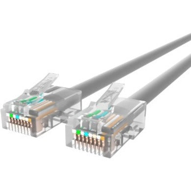 Close-up view of Belkin CAT6 ethernet cable showing transparent RJ45 connectors with gold-plated pins and gray cable jacket