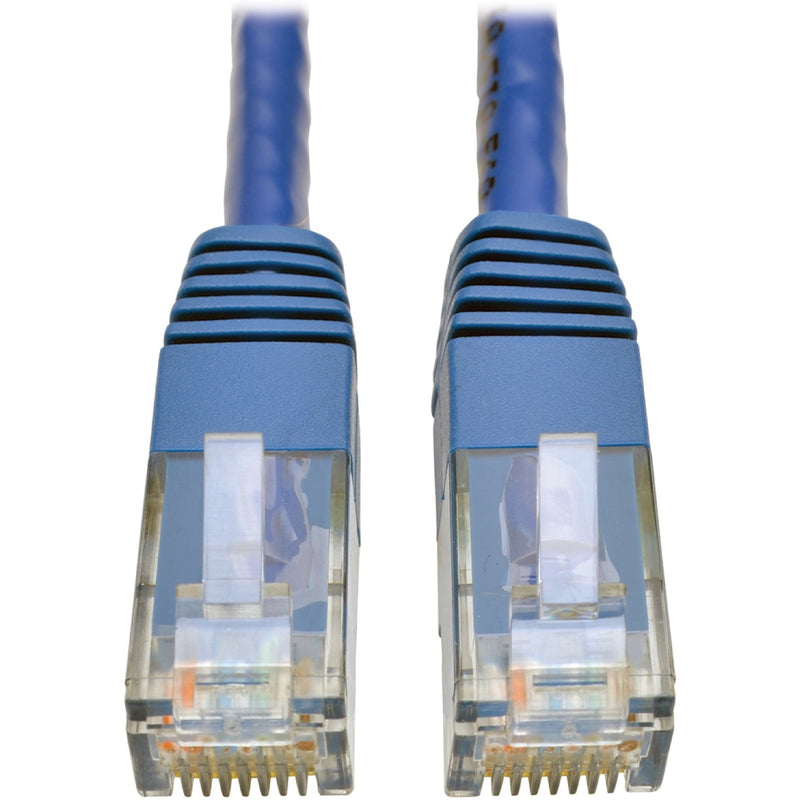 Close-up view of two transparent RJ45 connectors with gold-plated pins and blue strain relief on Cat6 ethernet cable