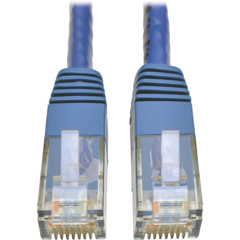 Close-up view of two blue Cat6 RJ45 connectors with gold-plated pins and transparent housing showing internal wiring