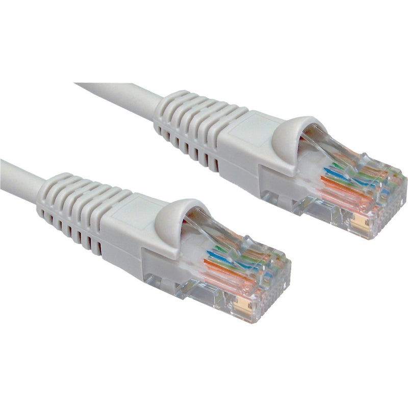 Close-up view of W Box Cat.6 network cable showing gold-plated RJ-45 connectors with strain relief and color-coded wire arrangement