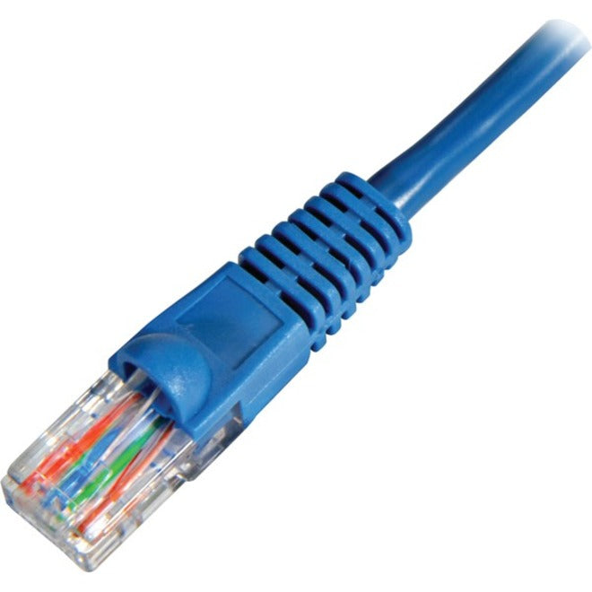 Close-up view of blue Cat.5e ethernet cable connector showing RJ-45 termination with snagless boot and visible wire arrangement