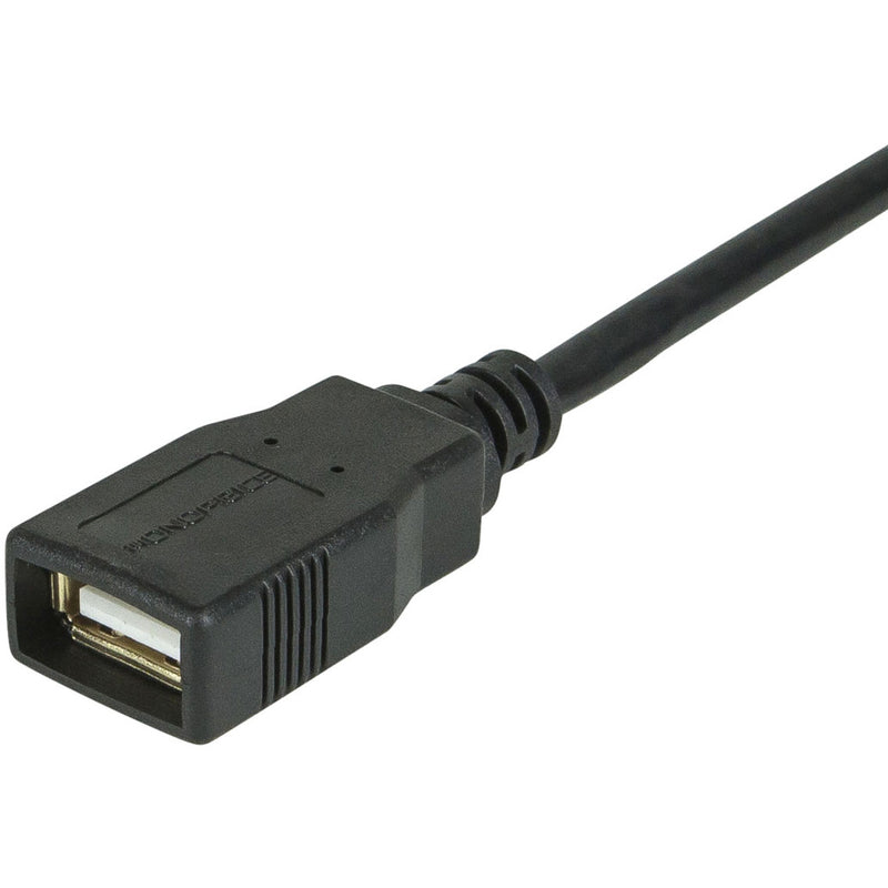 Close-up view of the USB 2.0 Type-A female connector end with gold-plated contacts