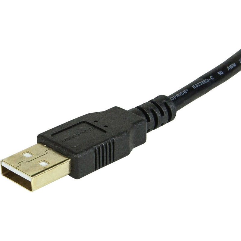 Detailed view of USB 2.0 Type-A male connector showing gold-plated contacts