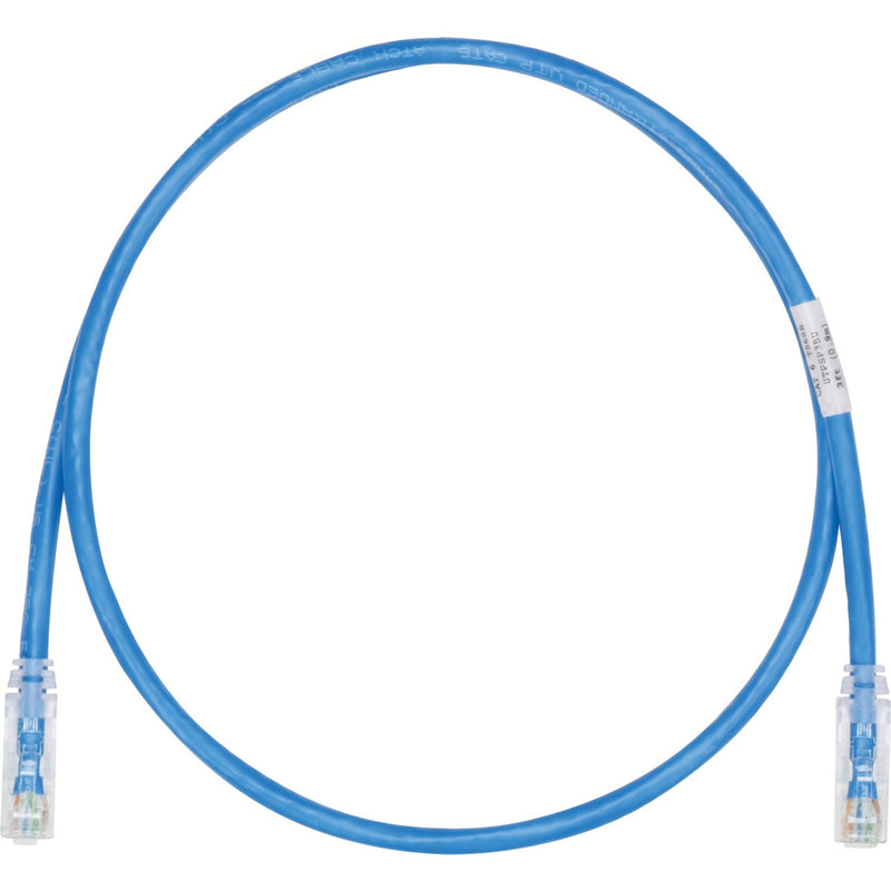 Panduit Cat.6 UTP network patch cable in blue with clear-booted RJ-45 connectors, 4 feet length