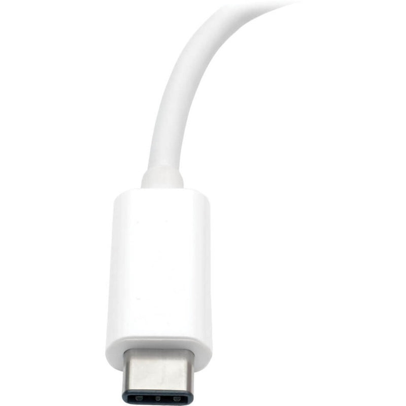 Close-up of Tripp Lite adapter's USB-C connector